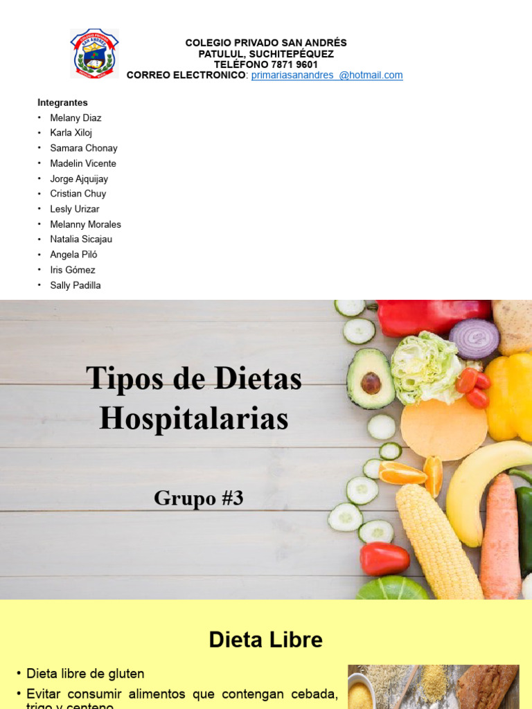 Dietas Hospitalarias Grupo 3 Pdf Dieta Alimentos