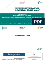 Kebijakan Pemerintah Daerah Dalam Implementasi SPGDT Malut 2023 - Kabid 2