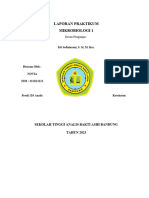 Novia Seviana 2211E2112 Laporan Praktikum Pewarnaan Sederhana