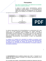 Termo Básica Notascompletas k8 VF Curso 2023