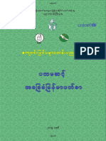 Level 1 Myanmar