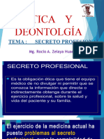 10° Sem Secreto Profesional