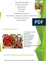 A8. Bioensayo - Evaluación de Un Semillero - Miriam Castro Martínez