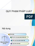 4. Quy phạm pháp luật