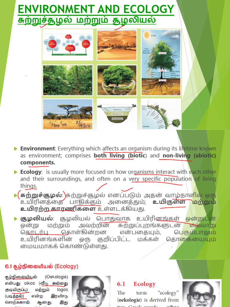 Environment and Ecology Overview in Tamil | PDF | Rain | Forests