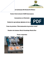 Práctica Química. Determinación de Proteína