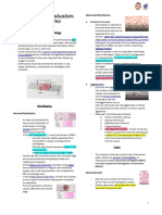 Hema Lec #7 Morphological Evaluation of Erythrocytes