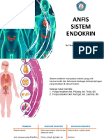 1 Anfis Sistem Endokrin