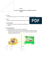 C. LKPD Pertemuan 1