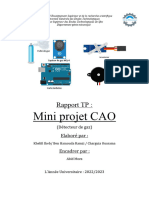 Rapport de TP Mini Projet (Réparé)