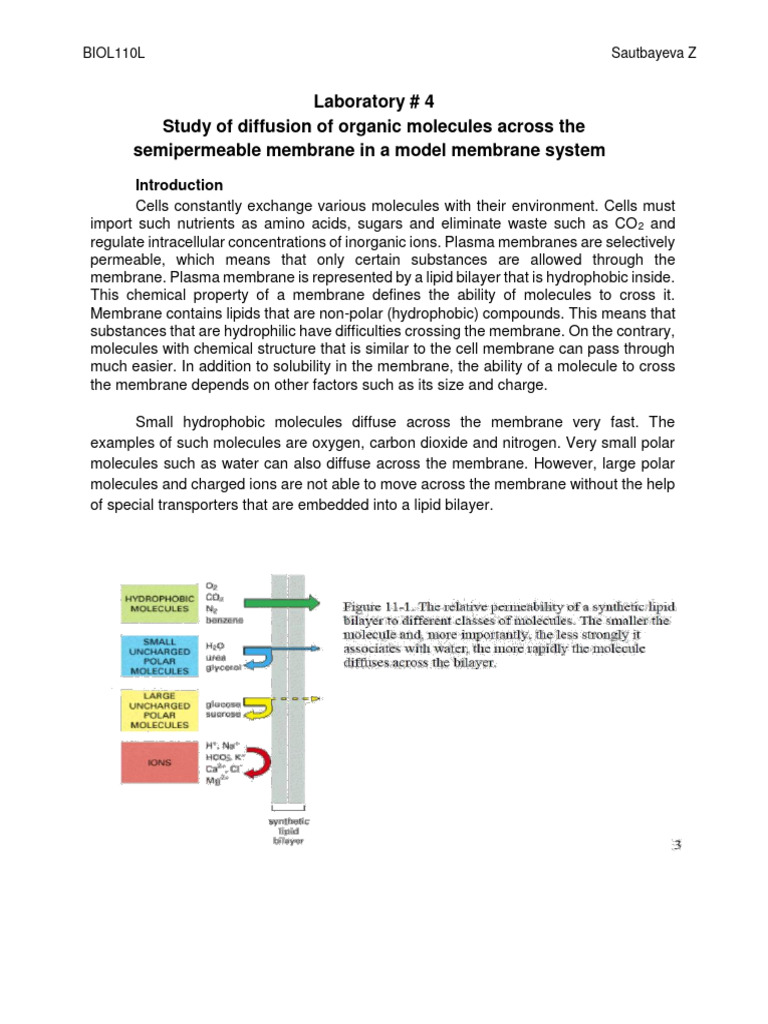 Lab 4 Dialysis Manual | PDF | Cell Membrane | Biotechnology
