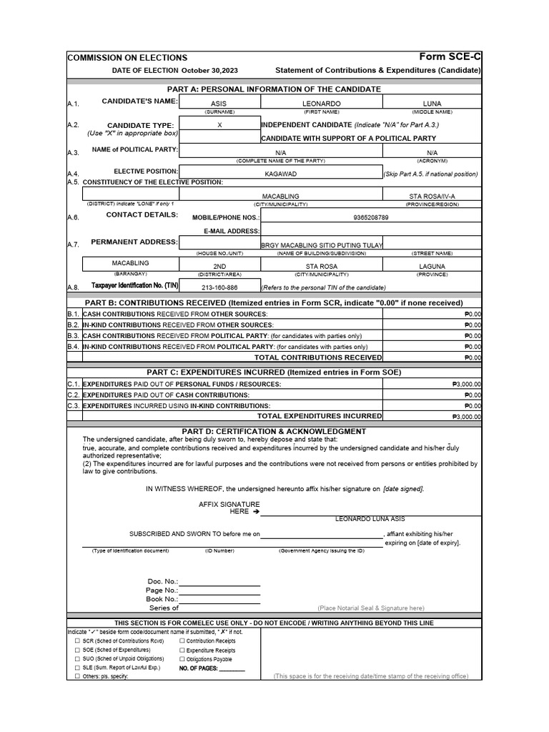 SOCE Forms For Candidates Final PDF Government Common Law