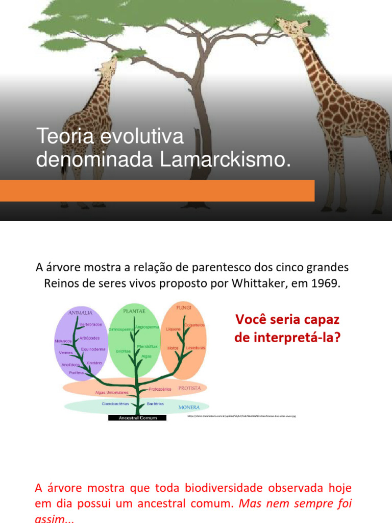 Teoria de Lamark e de Darwin | PDF | Evolução | Seleção natural