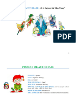 Proiect de Activitate 12.02. 2015 Final