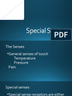 Special Senses