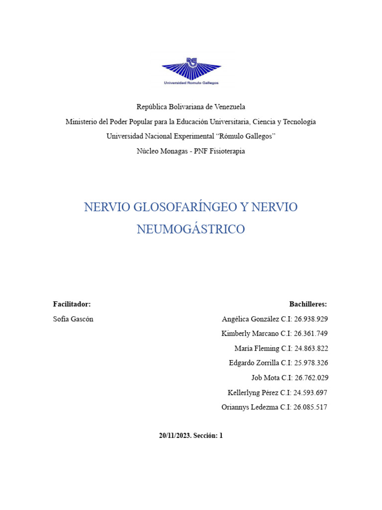 Nervios Glosofaríngeo Y Neumogástrico Pdf Nervio Vago Laringe