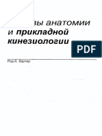 Основы Анатомии и Прикладной Кинезиологии