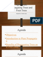 Creencia - TLE6 - Importance of Tree Propagation