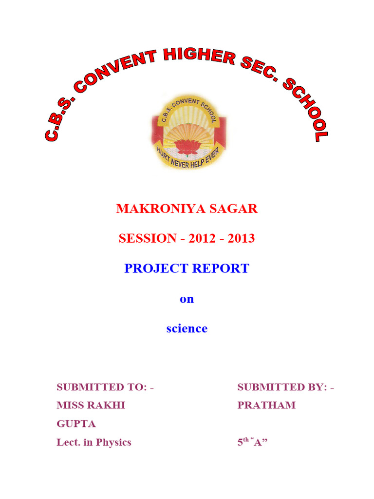 Science Project Report 2012-2013 | PDF