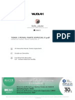 Tema 1. Resumen Derecho Penal Parte Especial Ii