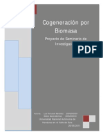 Cogeneración Por BiomasaL&W