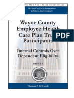 NYS Comptroller - Wayne Cty. Healthcare Eligibility