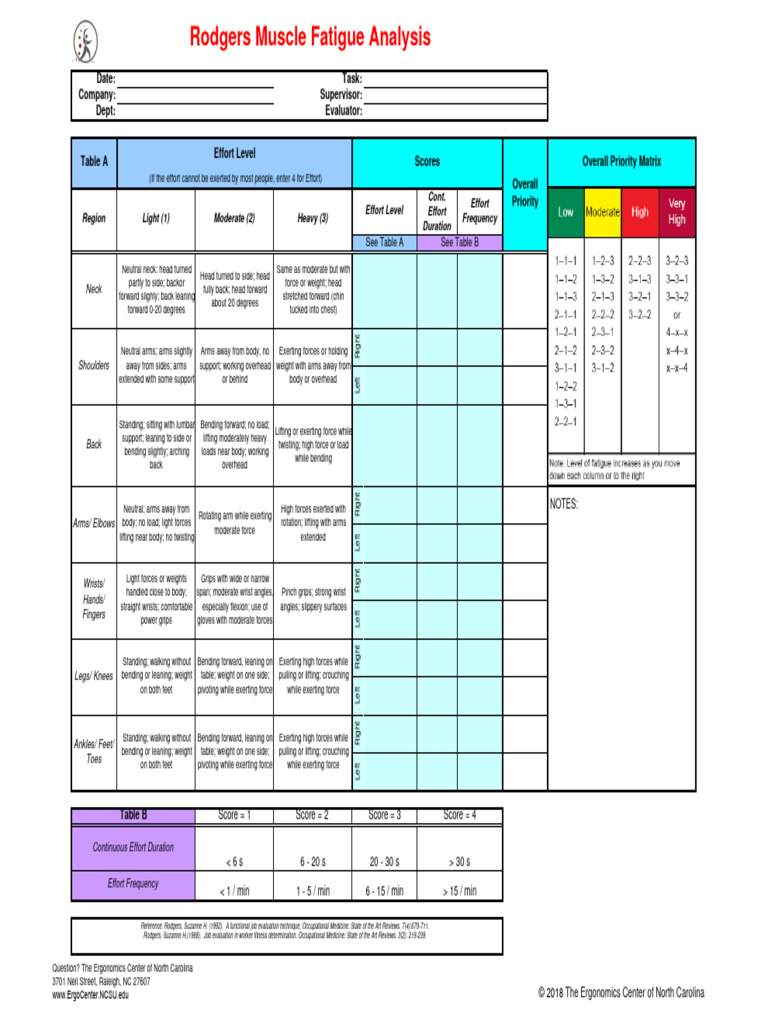 Arm Anatomical Terms