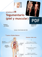 Sistema Tegumentario