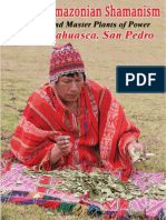 Andean-Amazonian Shamanism, Master and Master Plants of Power - Coca, Ayahuasca, San Pedro (Tasorinki, Yanaanka) (Z-Library)