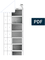 Tugas Storyboard