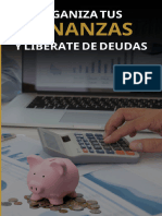 Organiza Tus Finanzas y Sal de Deudas