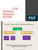Sistema Universal de Derechos Humanos (2da Unidad)