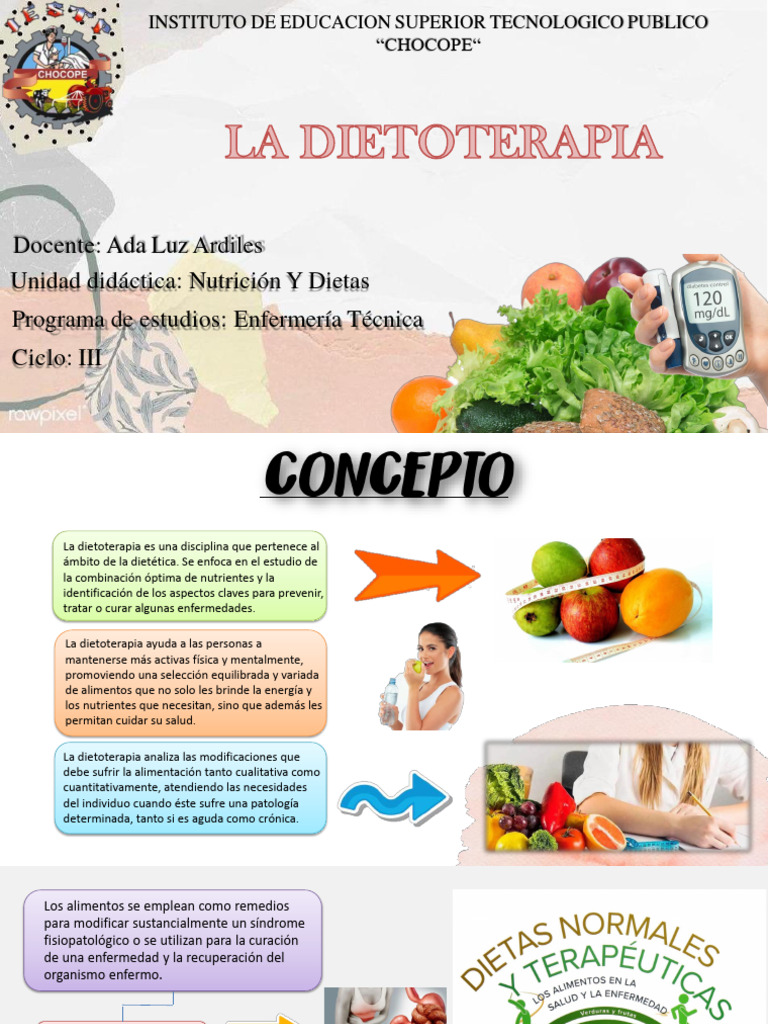 Dieta Pdf Dieta Nutrición