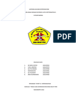 Laporan Asuhan Keperawatan Sle