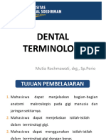 Dental Terminologi