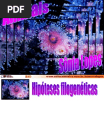 Animais - Bio - Sonia Lopes