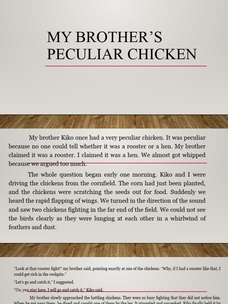 My Brothers Peculiar Chicken High School PDF Chicken Ornithology