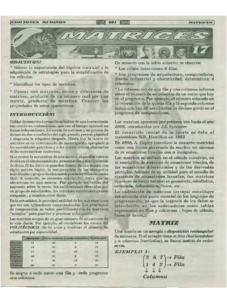 17. Matrices by Rubiños | PDF