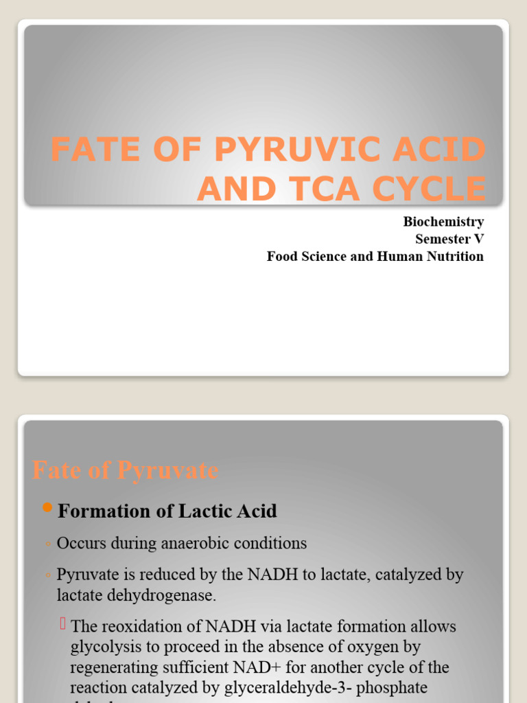 Natural Diet Lecture On Statin Dangers
