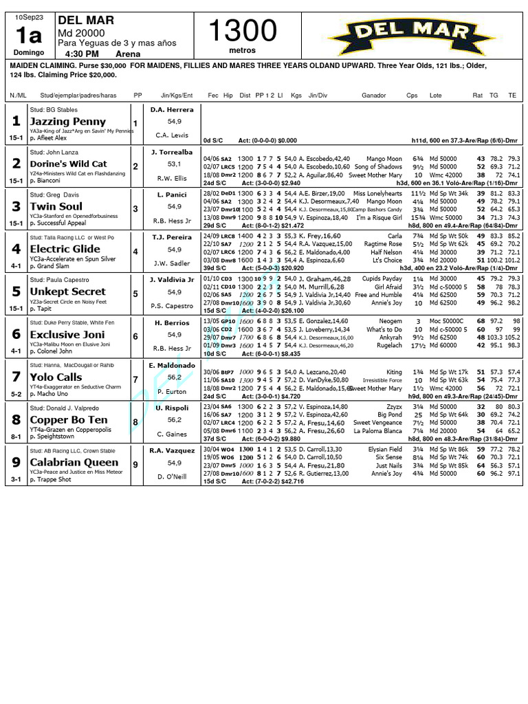 1 - Del Mar Retrospectos | PDF | Individual Horses | Horse Racing
