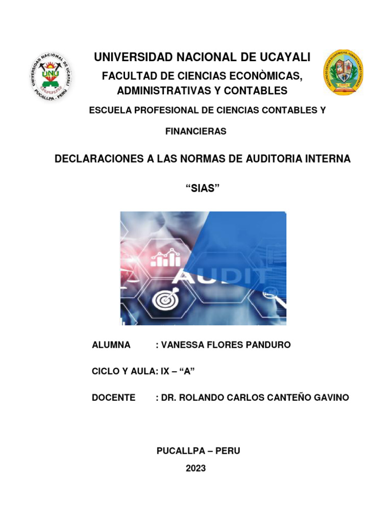 Declaraciones sobre Normas SIAS | PDF | Auditoría | Business