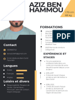 Professional CV Resume