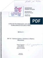 ENF 551-Estrutura Química e Anatômica Da Madeira