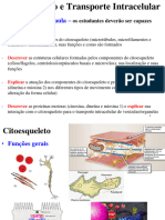 Aula 4 Citoesqueleto e Transporte Intracelular VET 2017