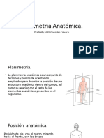 Anatomía