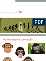 Evolución