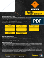 Ficha Técnica Carga Hueca-7756