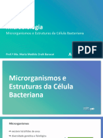 Slide 02 - Microbiologia