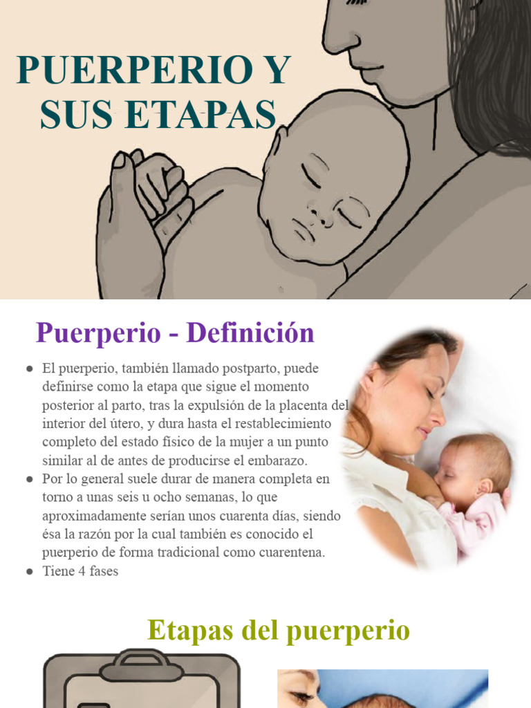 Etapas del Puerperio y Cambios Físicos | PDF | Periodo posparto | Parto