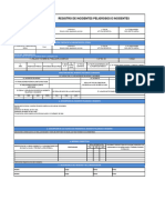 Registro de Inspecciones Internas de SST